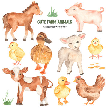 Watercolor Farm Animals Images – Browse 19,387 Stock Photos, Vectors, and  Video | Adobe Stock