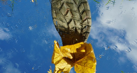 Background, background, texture stones, tree, fir, old masonry, beautiful masonry, fire, landscape, chrome key.