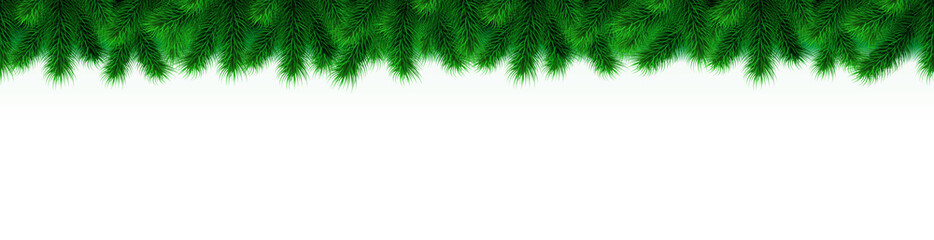 Wide christmas tree border isolated on white background. Seamless christmas tree branch garland, holiday decoration, winter frame. Pine, fir or spruce. Vector xmas or new year illustration.
