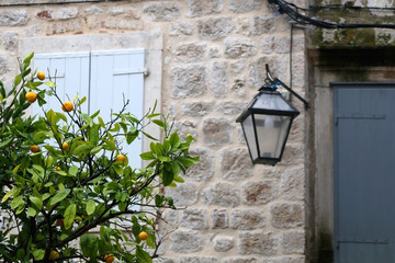 Retro lantern and tangerine tree in front of traditional stone wall in Stari Grad, on island Hvar,...
