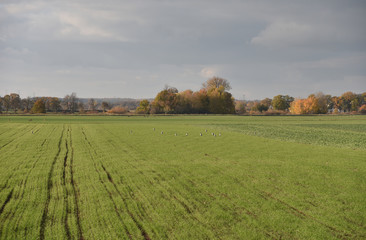 Autumn landscape on the countryside in Poland.