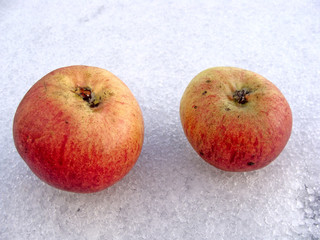 Apples on snow