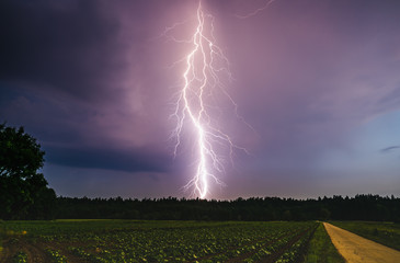 Dramatic lightning bolt at night over rural area. Agriculture fields.