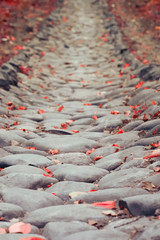 Fototapeta premium Stone path with fallen red autumn leaves