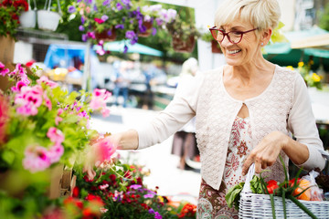 Attractive senior woman shopping in an outdoors fresh flowers market