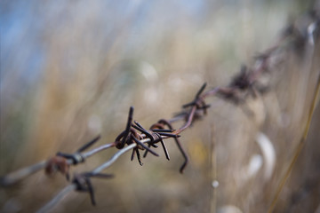 Rusty barbed wire with nature background.