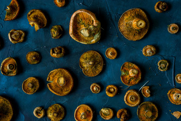Fresh mushrooms with blue background