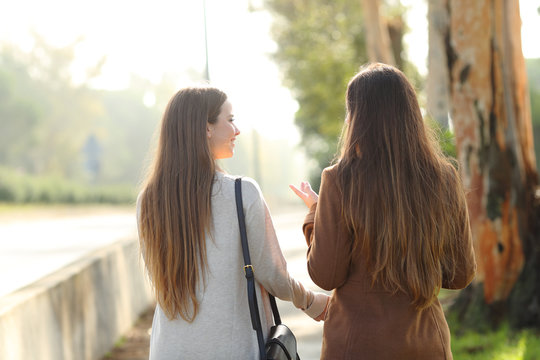 Back view of two women walking and talking in a park
