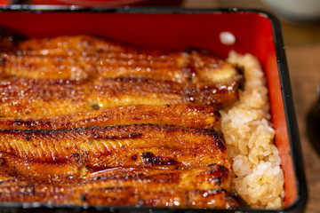 Charcoal grilled Unagi eel over rice or Japanese Unagi donburi (Unadon) rice recipe. Rice topped with broiled eel. Japanese grilled eel with sweet sauce on rice. Unagi Don Traditional Japanese cuisine