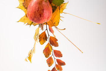 Apple on a fork. Autumn leaves.