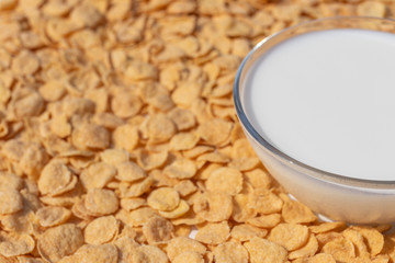 Cup of milk on a background of yellow cornflakes