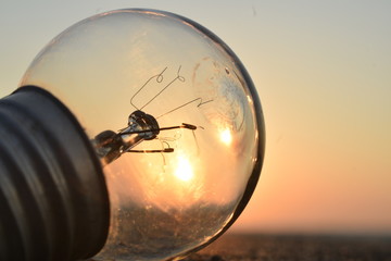 light bulb