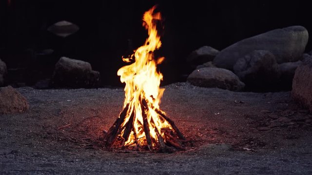Big bonfire fire on nature background. Beautiful fire burns brightly. Slow motion