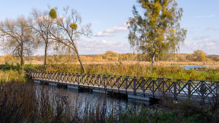 Plaża Dojlidy i Stawy Dojlidzkie w Białymstoku, Podlasie, Polska