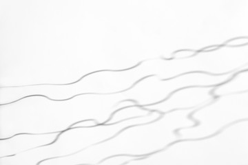 Organic drop abstract diagonal curvy lines shadow on a white wall, overlay effect for photo and mockups