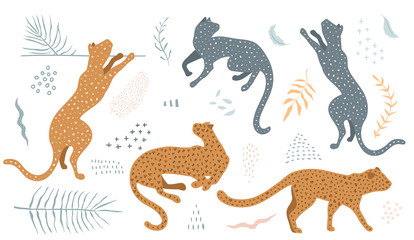 Wild cats in different poses collection clip art with floral leaves and abstract shape designer kit. © Popmarleo