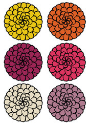 花　マリーゴールド　カラフル