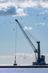 Fototapeta premium Grua en el muelle del puerto