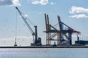 Obraz premium Grua en el muelle del puerto