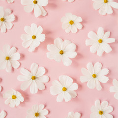A beautiful pattern with white chamomile, daisies flowers on pale pink background. Floral texture or print. Holiday, wedding, birthday, anniversary concept.  Flat lay, top view.