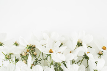 A beautiful pattern with white chamomile, daisies flowers. Floral texture or print. Holiday, wedding, birthday, anniversary concept. Copy space, flat lay, top view.
