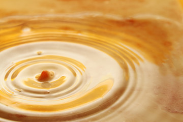 Milk and coffee droplet