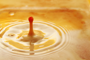 Milk and coffee droplet