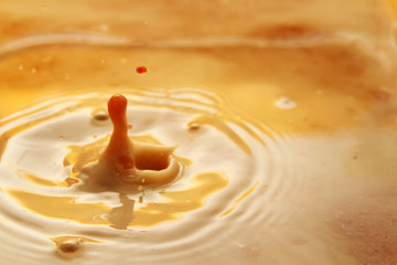 Milk and coffee droplet