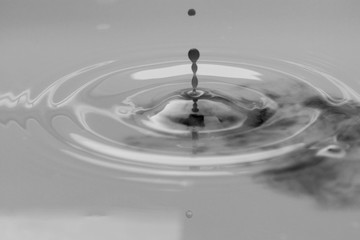 Milk and coffee droplet