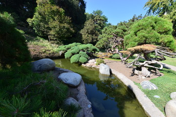 Fototapeta na wymiar Pond at a Japanese garden in California