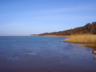 Shore of a frozen lake