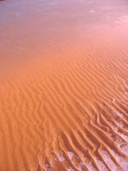 Shore of a frozen lake