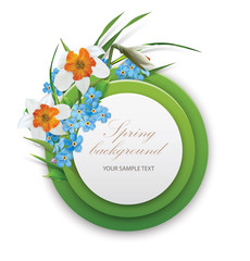 Spring background. Round template with Bouquet of Narcissus and foget-me-not. Vector illustration - 302457215
