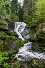 Fototapeta na wymiar Long exposure of a waterfall in a green forest with some stones and small plants in the foreground