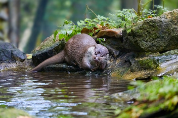 Fototapety na wymiar - Fototapeta24.pl