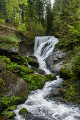 Fototapeta premium Long exposure of a waterfall in a green forest with some stones and small plants in the foreground