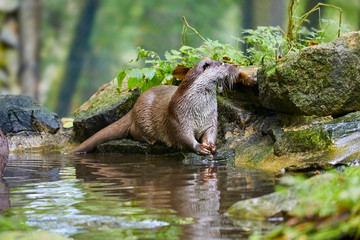 Fototapety na wymiar - Fototapeta24.pl