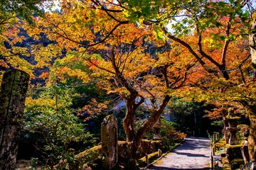 清川の紅葉