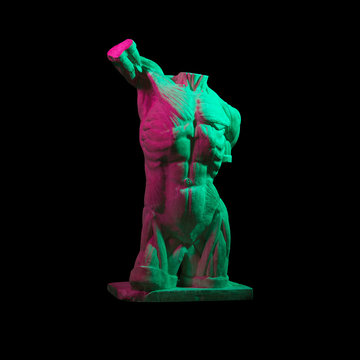 Ecorche of the Hudon. Hudon on black background.