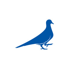 Dove logo design concept vector. Bird logo template. Icon symbol. Illustration