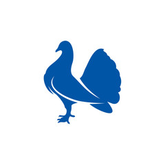 Dove logo design concept vector. Bird logo template. Icon symbol. Illustration