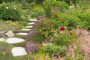 Garden path with flowers in pink and purple colors.