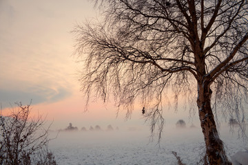 Winter Landschaft - Teufelsmoor bei Worpswede / Bremen