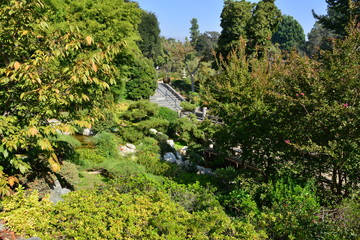 Fototapeta na wymiar Japanese garden in California