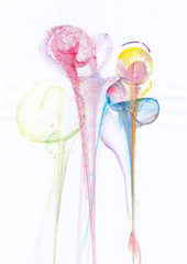 Art Abstract Flowers .Hand watercolor painting on paper.
