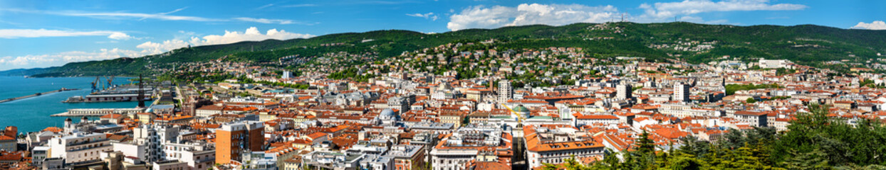 Fototapeta na wymiar Panorama of Trieste city in Italy
