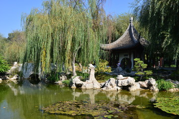 Naklejka premium Pond at a Japanese garden in California