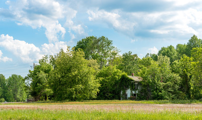 Naklejka premium Dilapidated, rundown old farmhouse in field