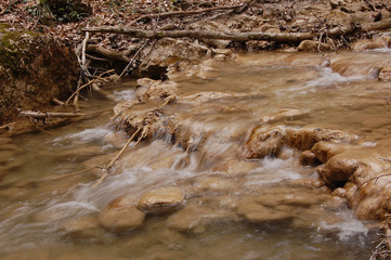 Water flow  in a early spring forest. Crimea