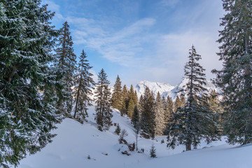 Fototapeta na wymiar Verschneite Winterlandschaft mit Blick auf den Säntis und und den Wildhauser Schafberg im Toggenburg